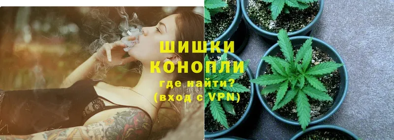 Бошки марихуана THC 21%  Малаховка 